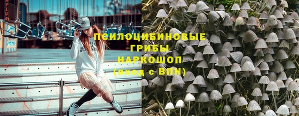 молекула духа Балабаново