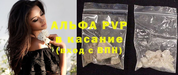 spice Богородицк