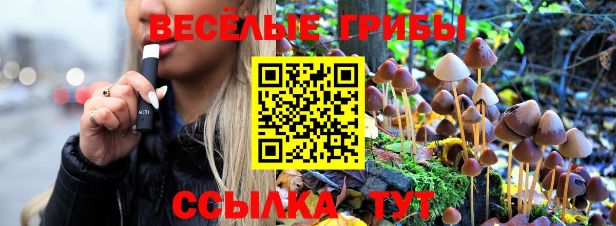ГАШИШ  NBOMe  Горно-Алтайск  Меф кристаллы  ГАШ  Вход с VPN  ЭКСТАЗИ  Кокаин 