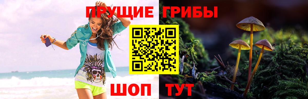 Горно-Алтайск  Псилоцибиновые грибы Magic Shrooms  Вход с VPN 